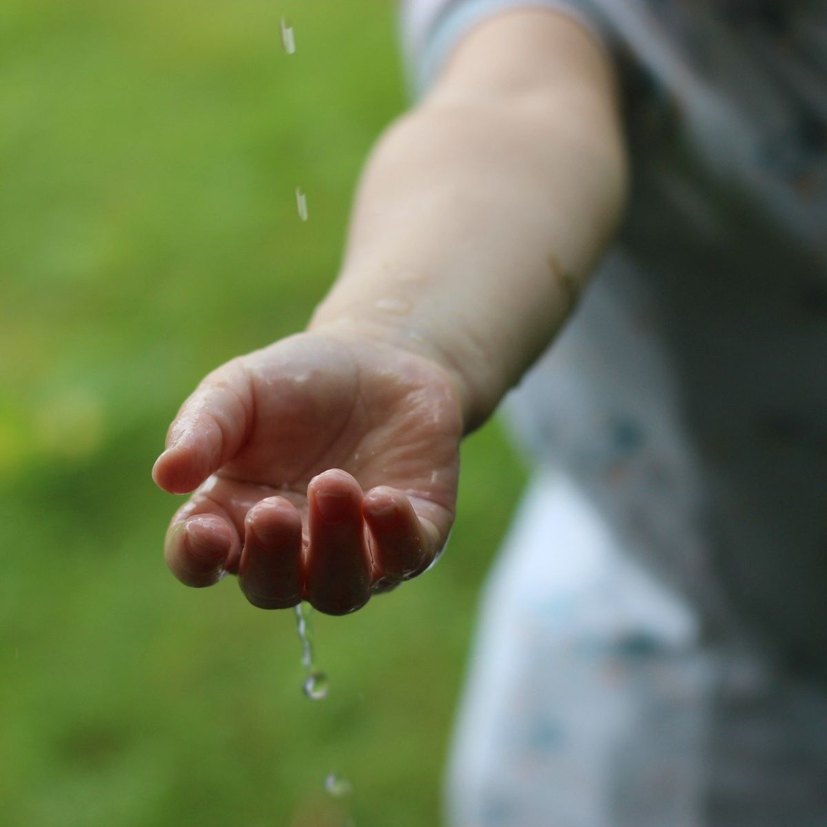 Delicious Food - Duurzaam